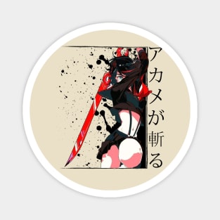 Akame ga kiru Magnet